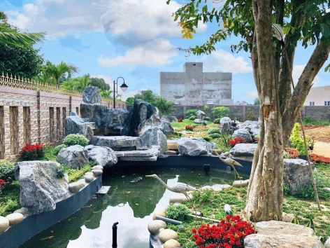 SÂN VƯỜN CHÂU Á