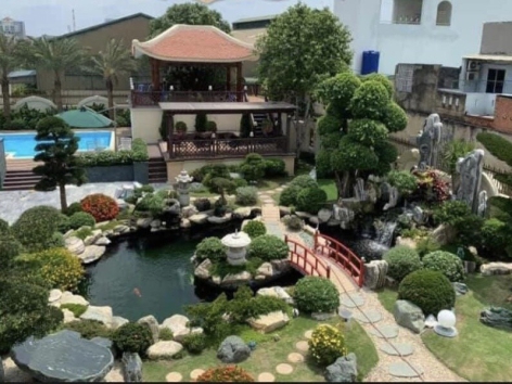 HỒ CÁ SÂN THƯỢNG